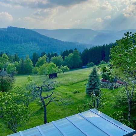 Ferienhaus mit 5* Luxus im Schwarzwald Gemeinde Gemeinde Aichhalden Exterior foto
