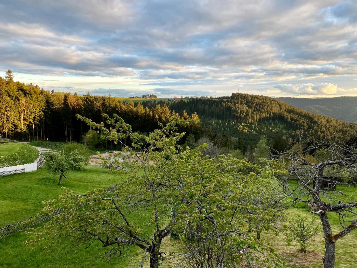 Ferienhaus mit 5* Luxus im Schwarzwald Gemeinde Gemeinde Aichhalden Exterior foto