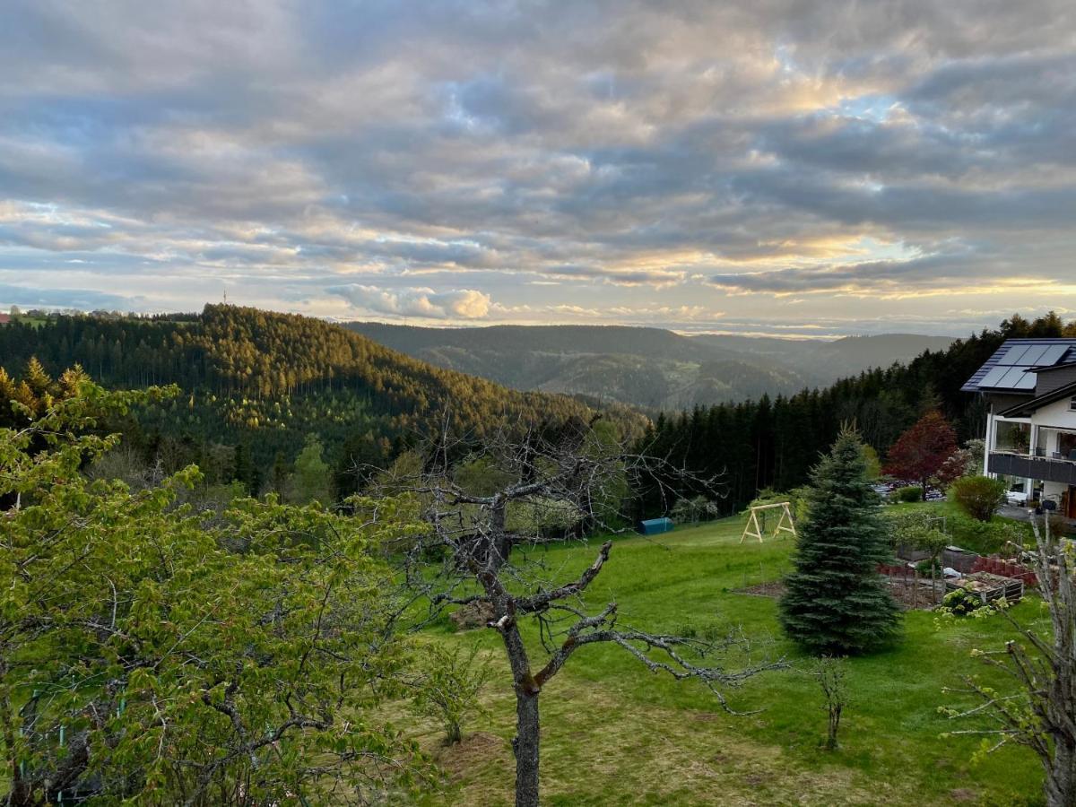 Ferienhaus mit 5* Luxus im Schwarzwald Gemeinde Gemeinde Aichhalden Exterior foto